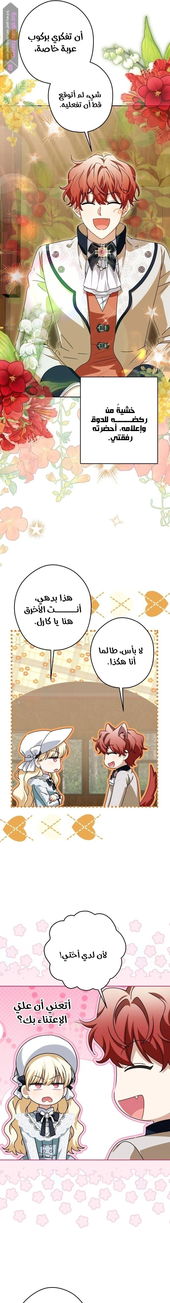 الصفحة 17