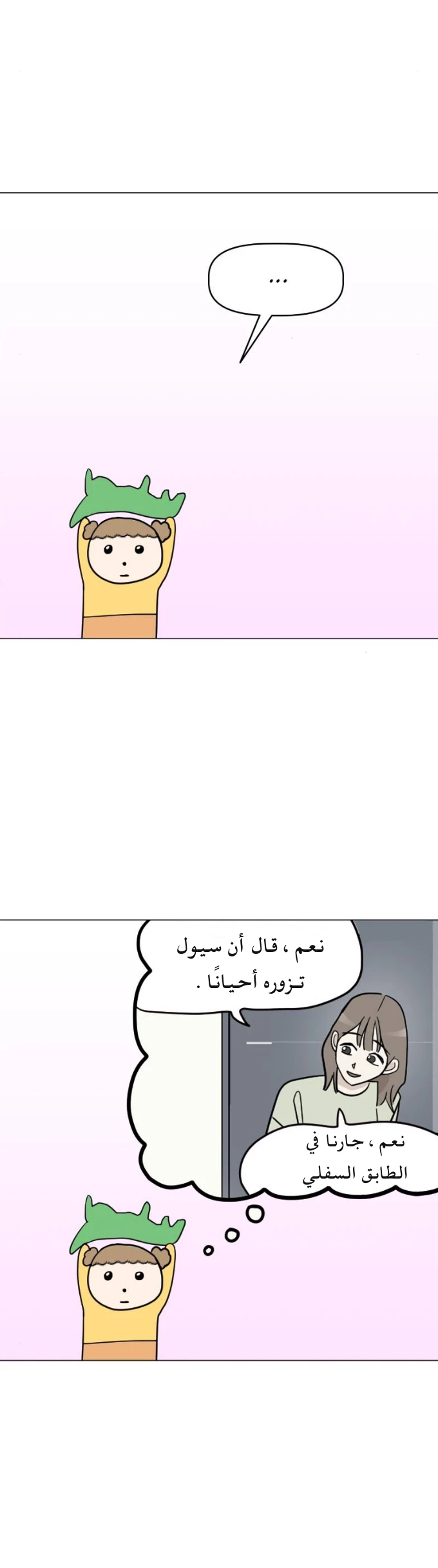 الصفحة 13