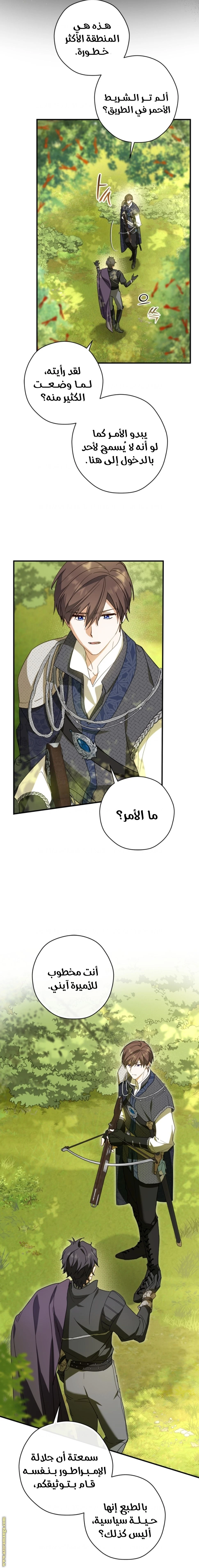 الصفحة 11