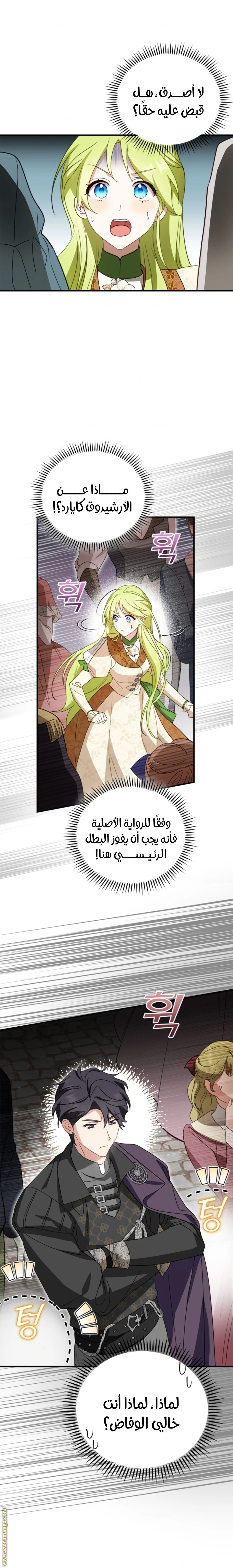 الصفحة 17