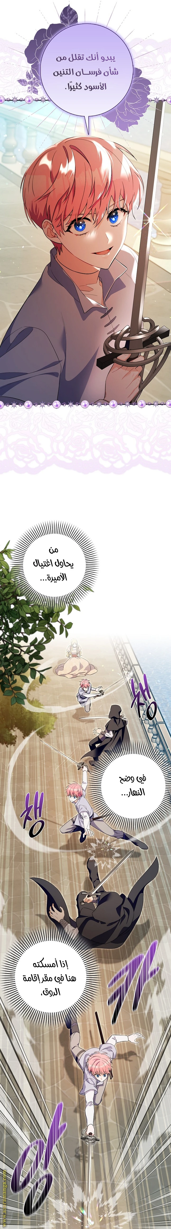 الصفحة 14