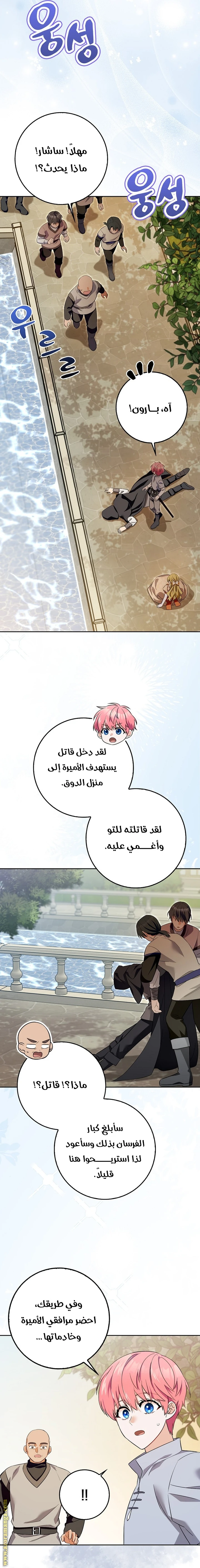 الصفحة 17