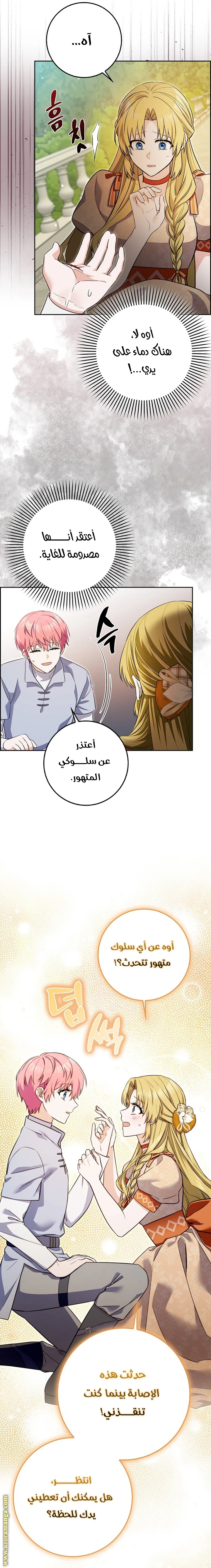 الصفحة 19