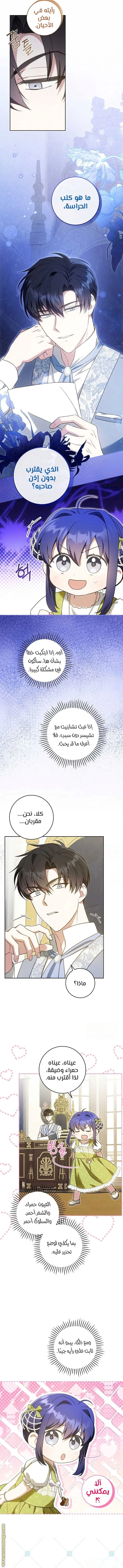 الصفحة 8