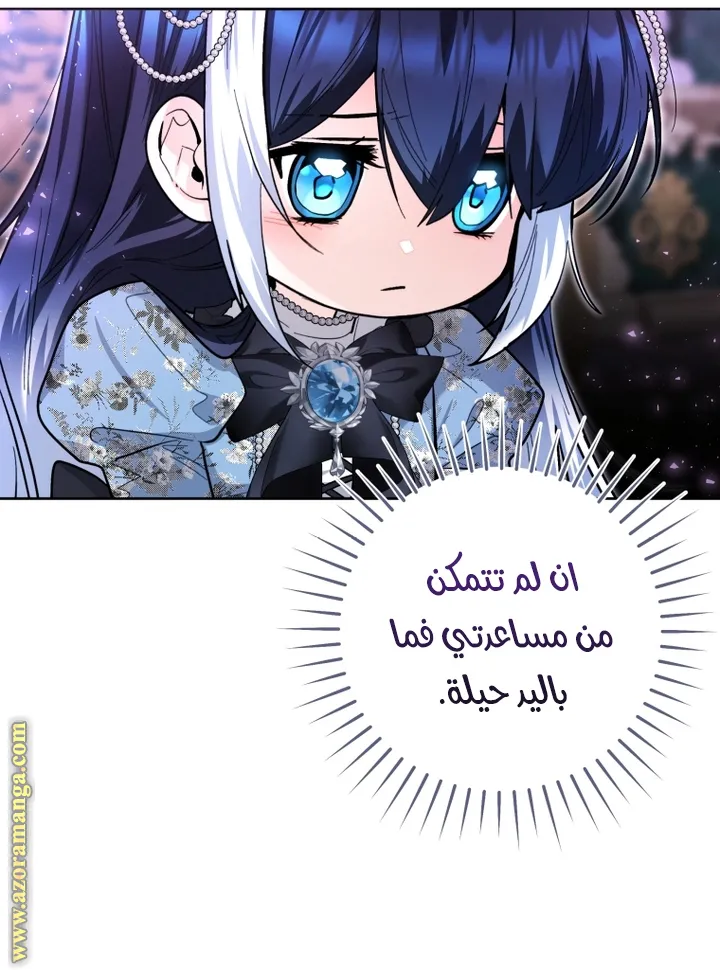 الصفحة 25