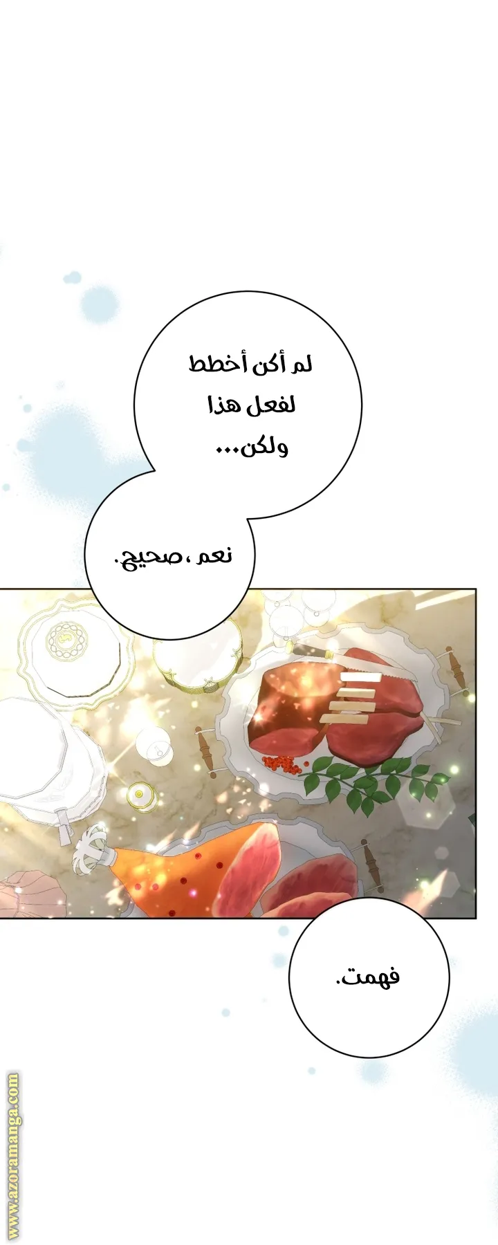 الصفحة 29