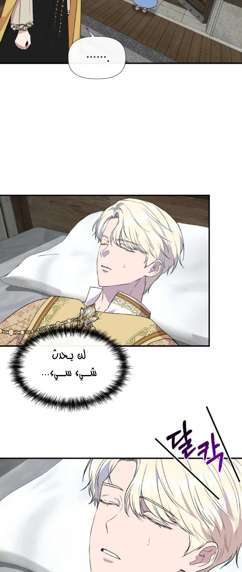 الصفحة 25