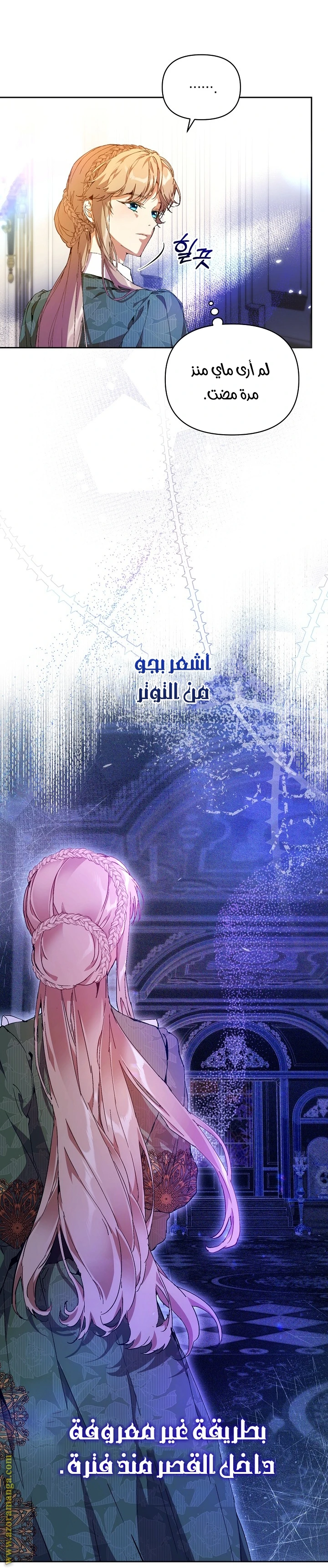 الصفحة 17
