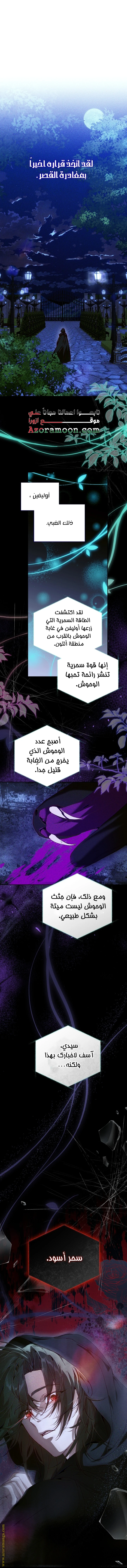 الصفحة 21