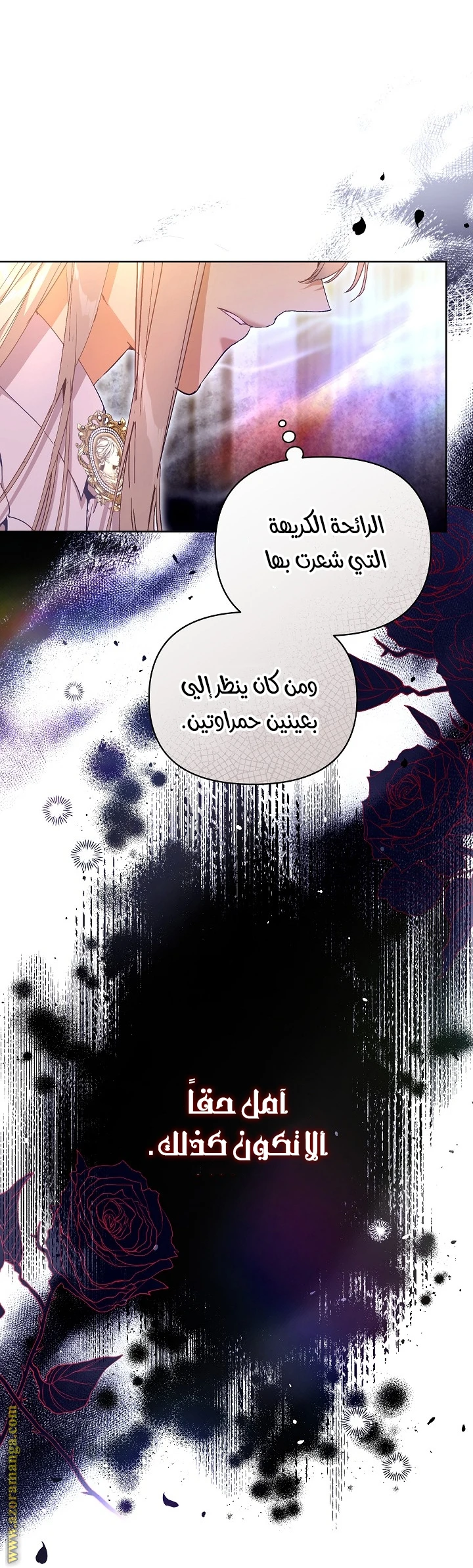 الصفحة 24