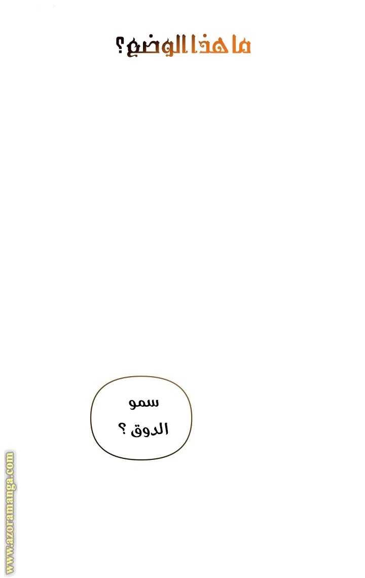 الصفحة 44