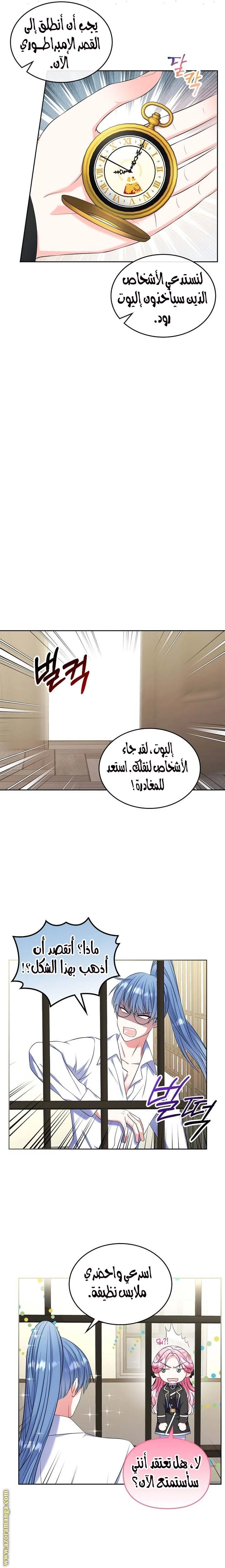 الصفحة 17