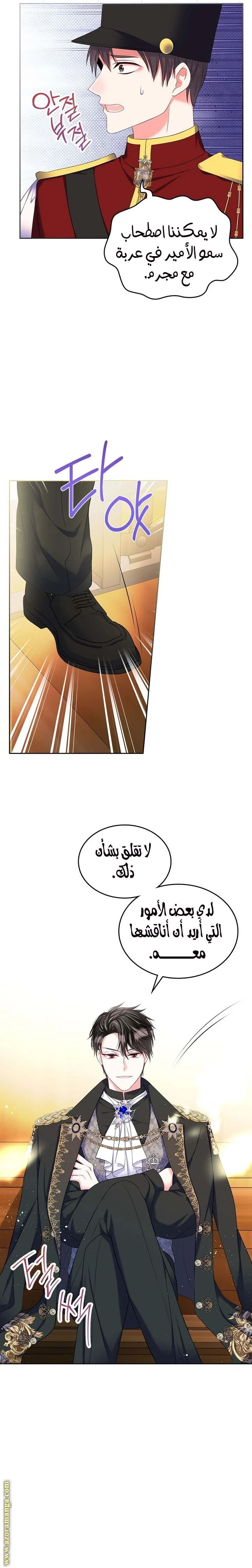 الصفحة 21