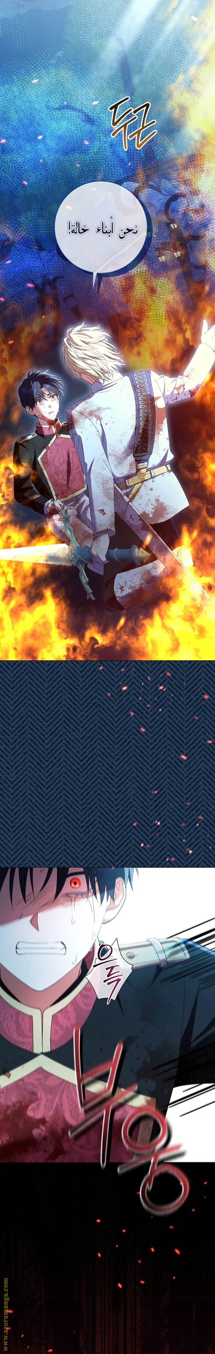 الصفحة 24