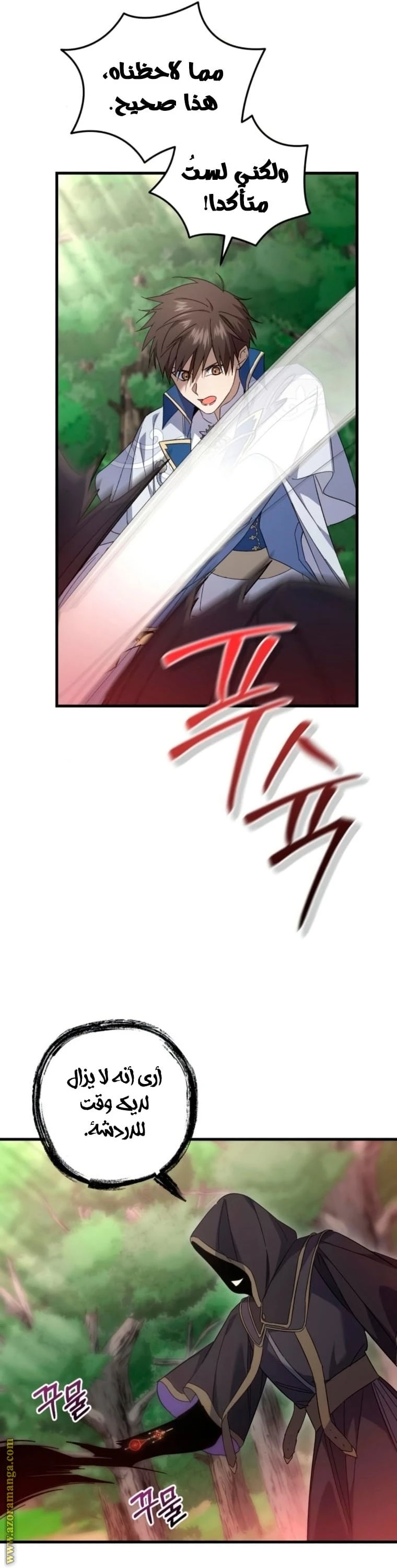 الصفحة 17