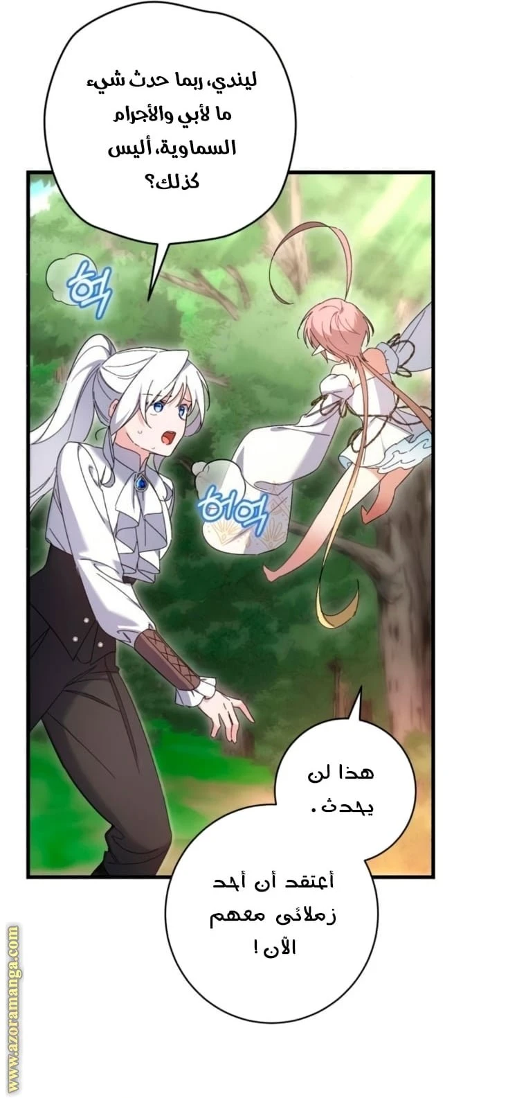 الصفحة 29