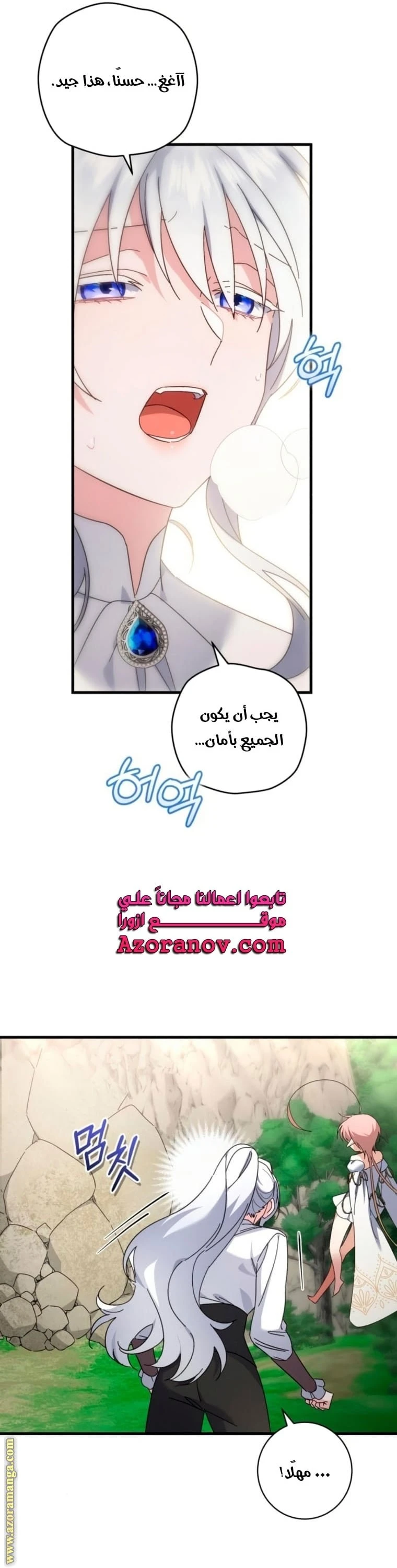 الصفحة 30