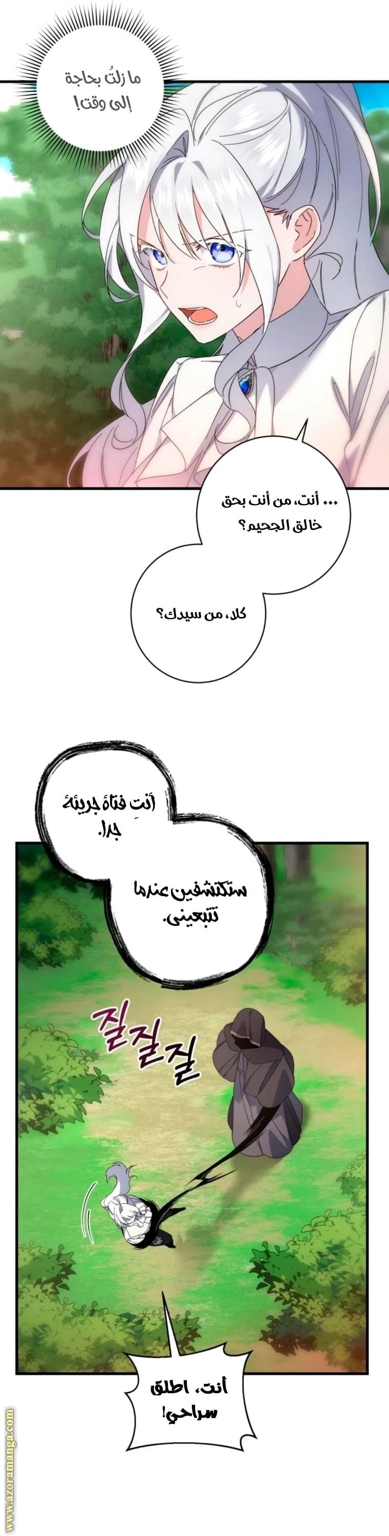 الصفحة 41