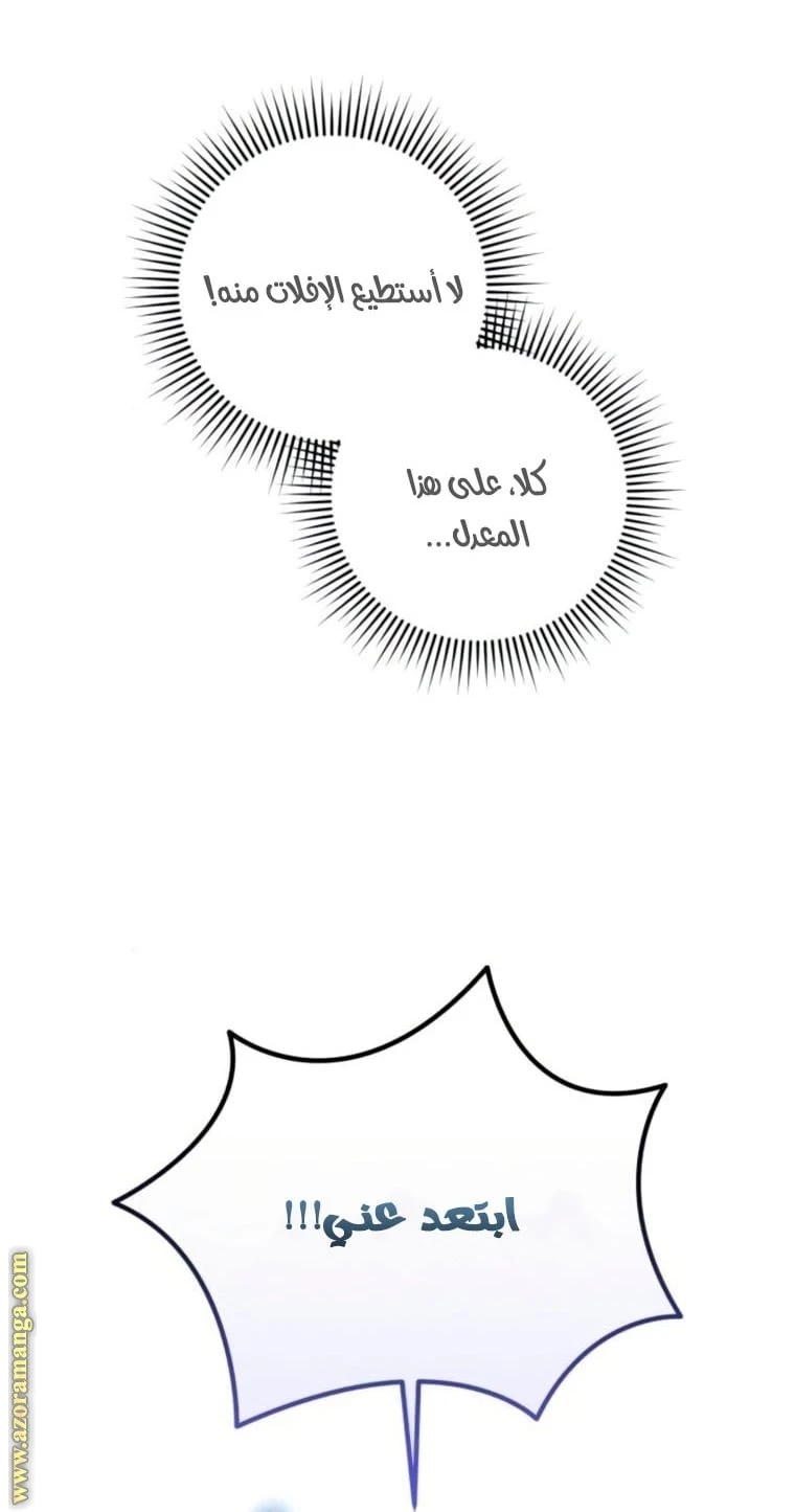 الصفحة 42