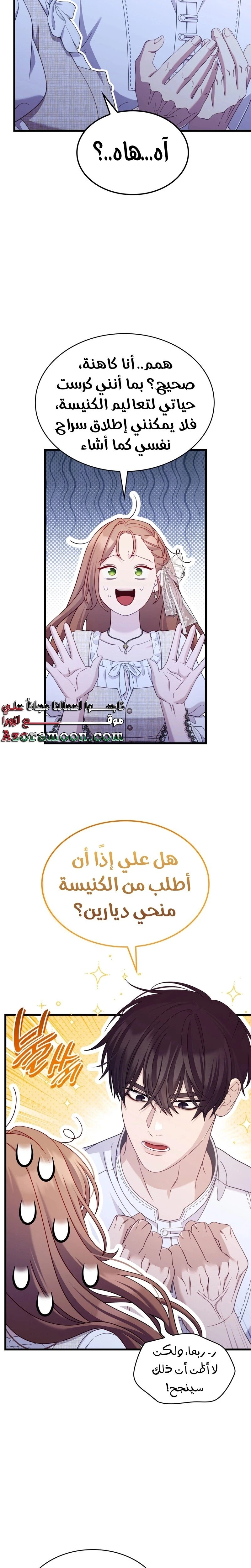الصفحة 17