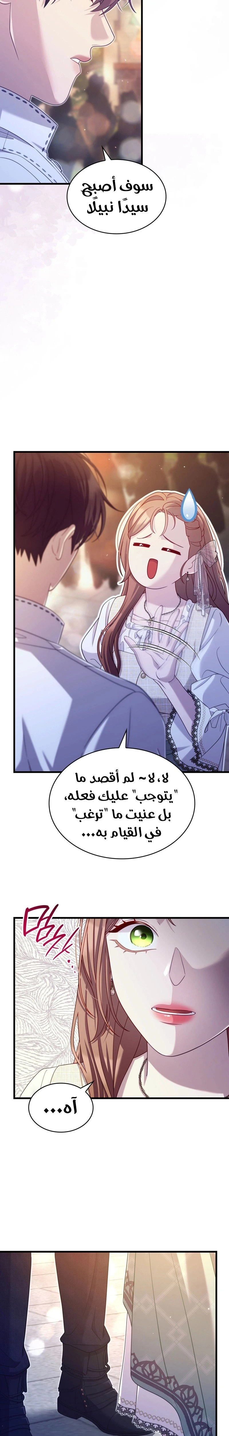 الصفحة 27
