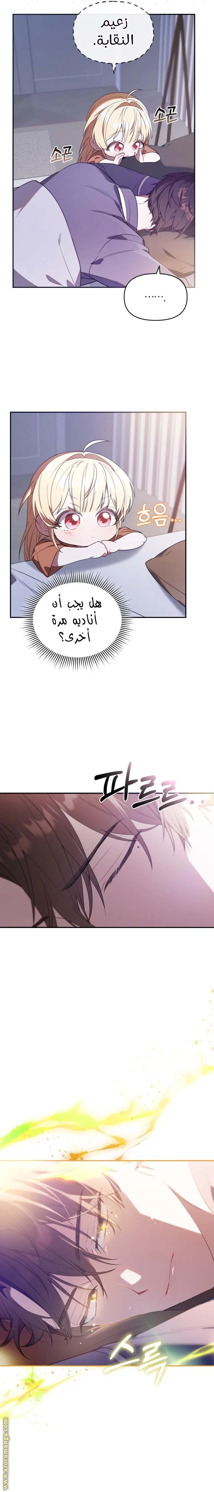 الصفحة 17