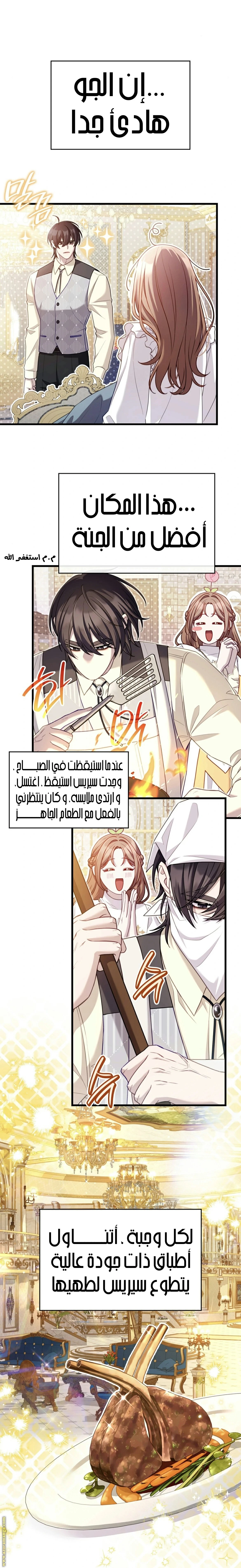 الصفحة 15