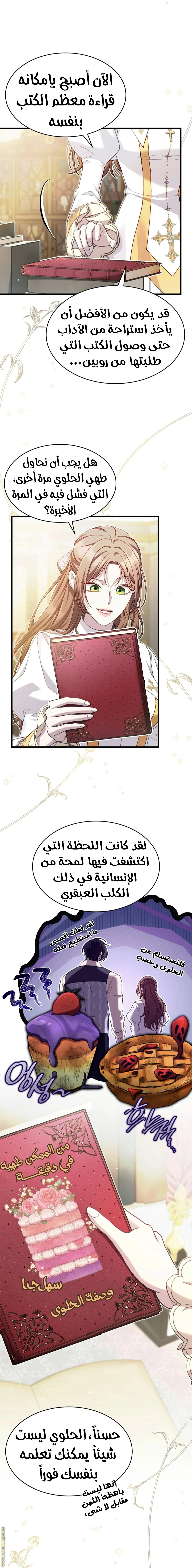 الصفحة 17