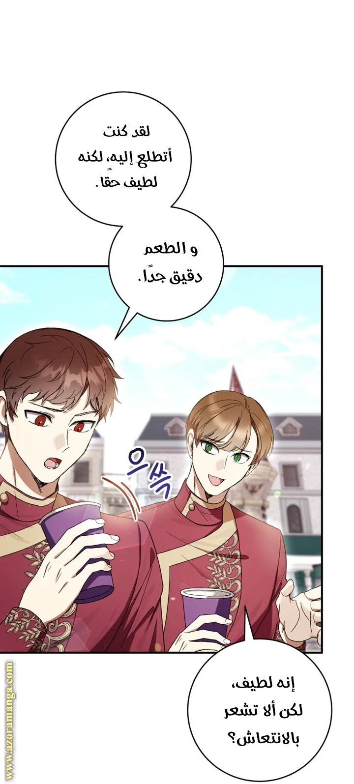 الصفحة 17