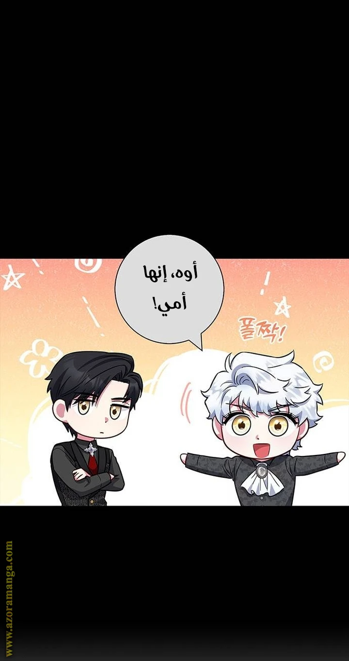 الصفحة 46