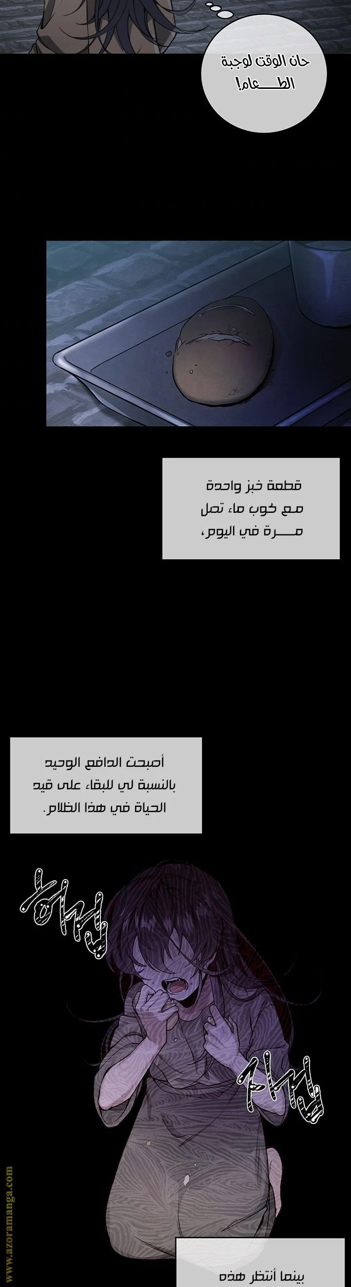 الصفحة 19