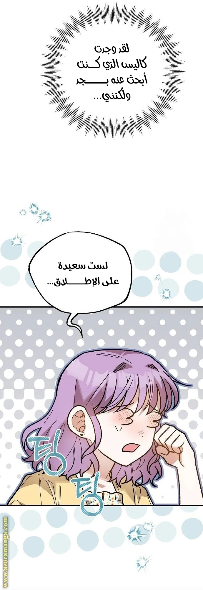 الصفحة 45