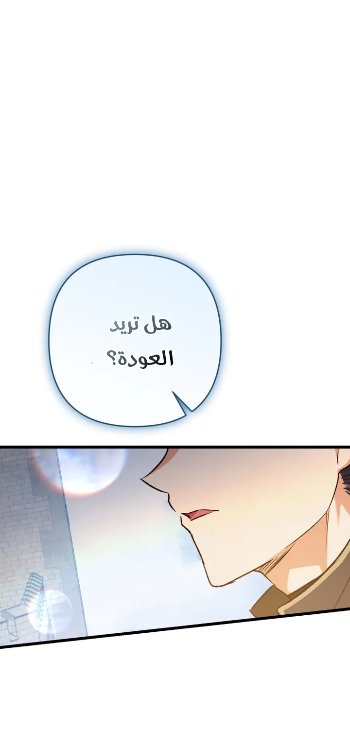 الصفحة 27