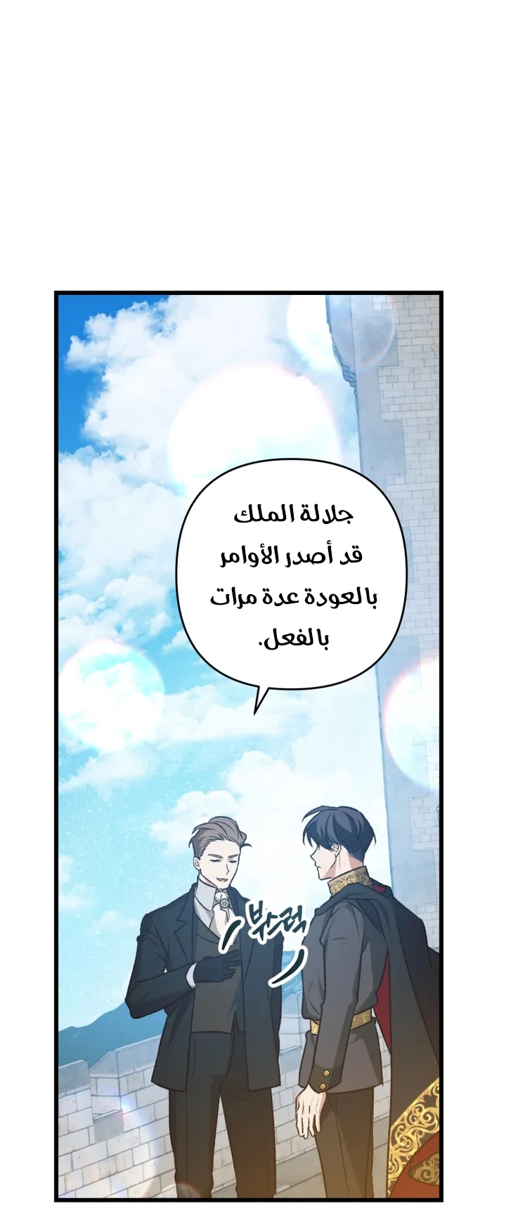 الصفحة 29