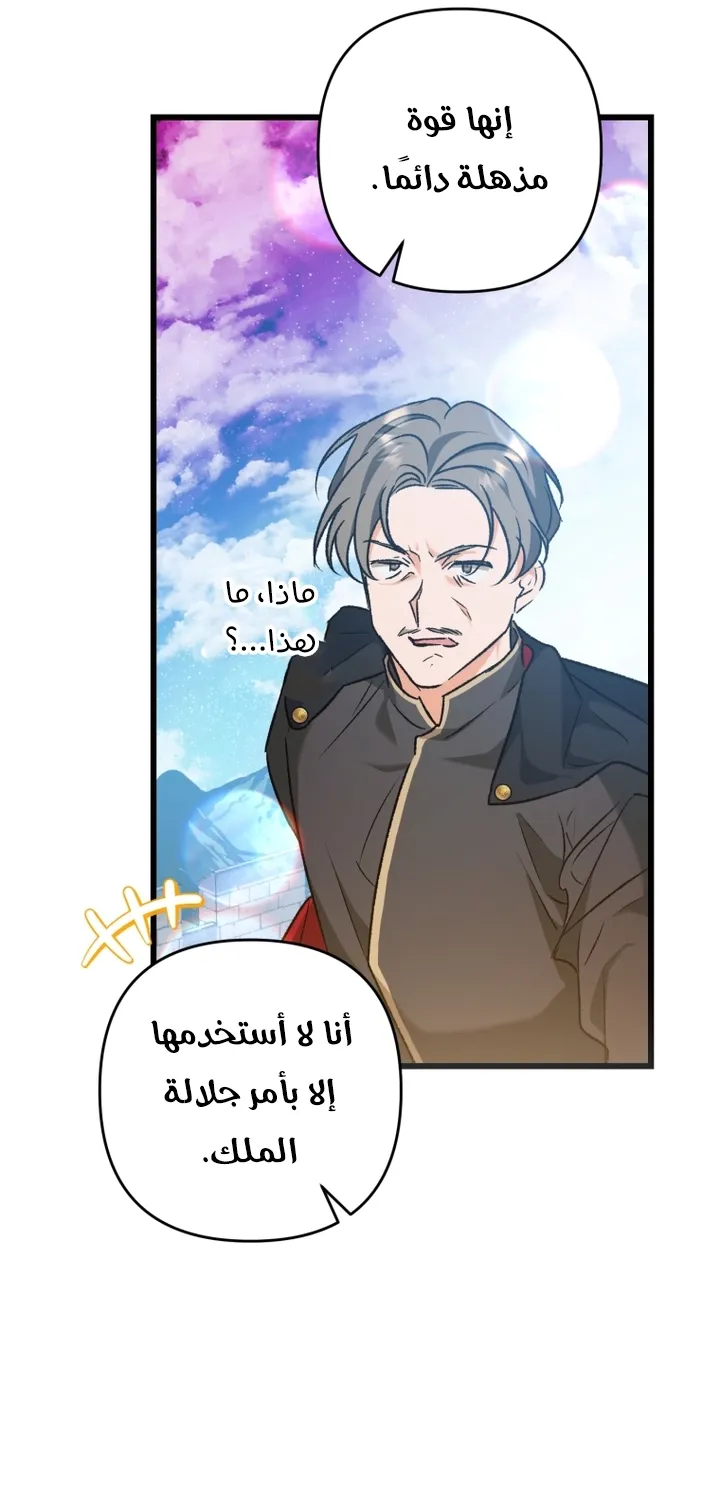 الصفحة 41
