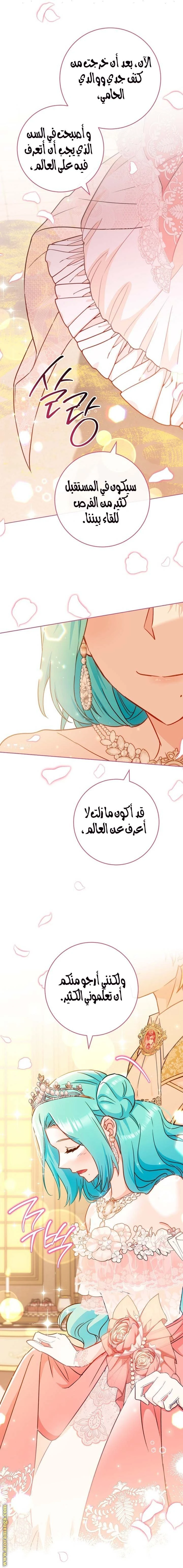 الصفحة 14