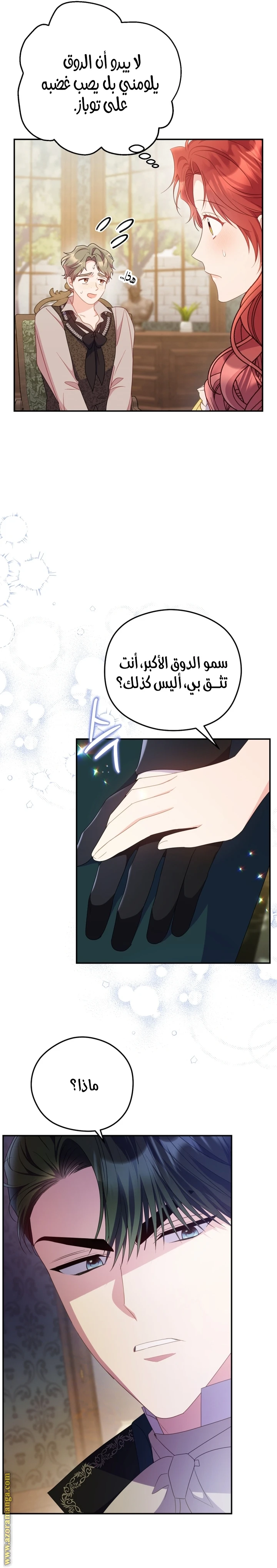 الصفحة 13
