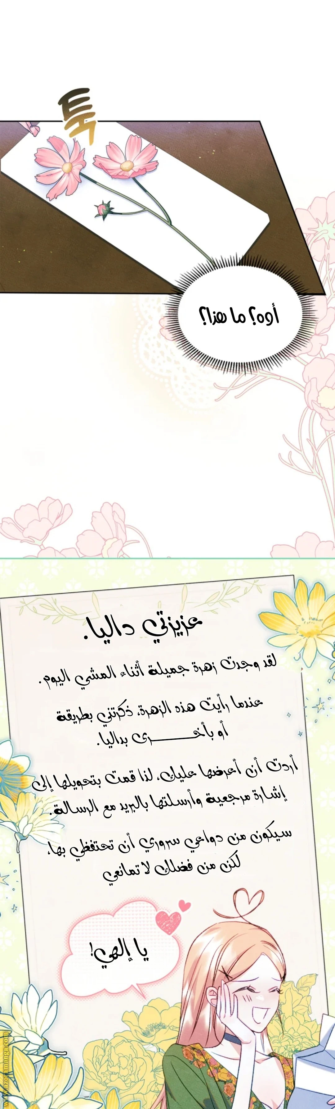 الصفحة 16