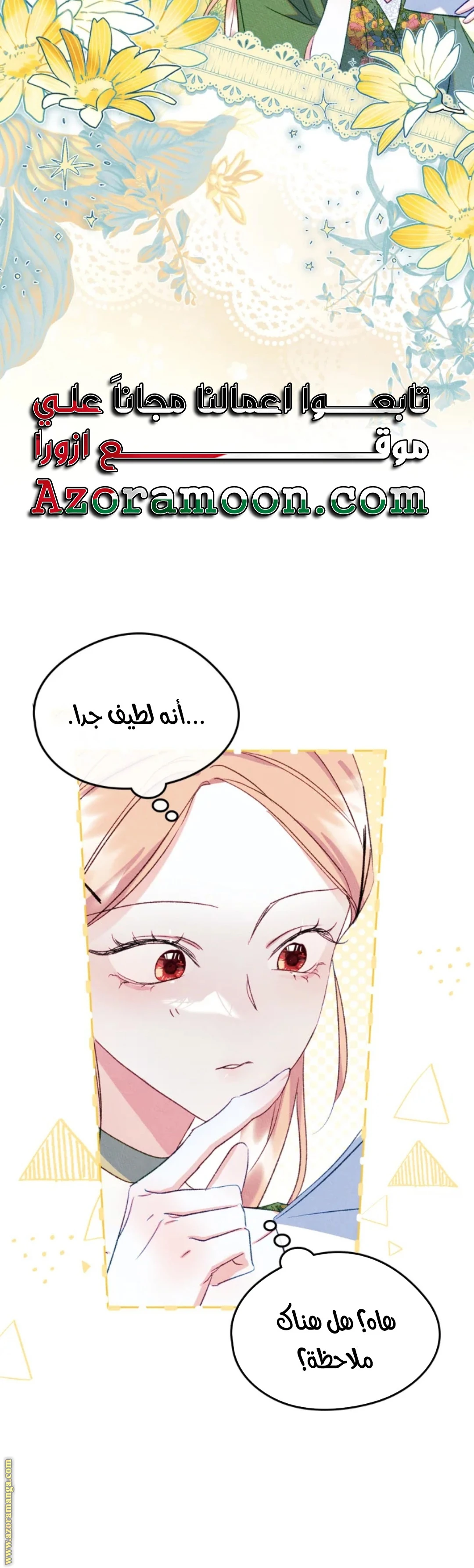 الصفحة 17