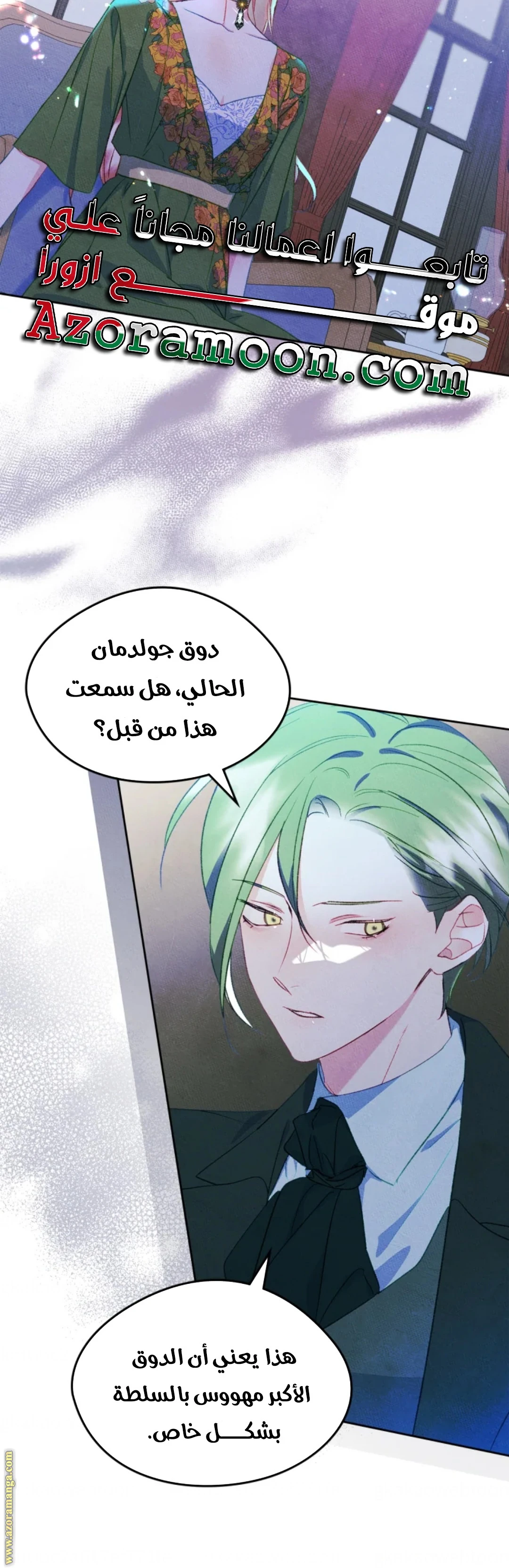 الصفحة 25