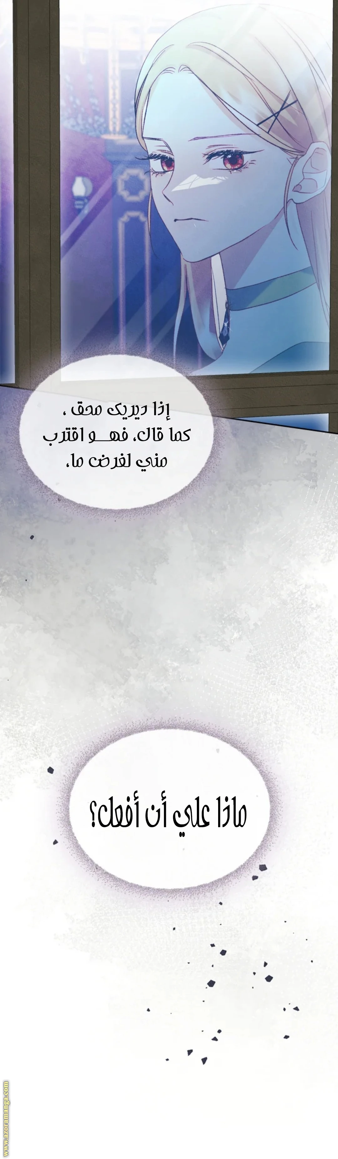 الصفحة 29