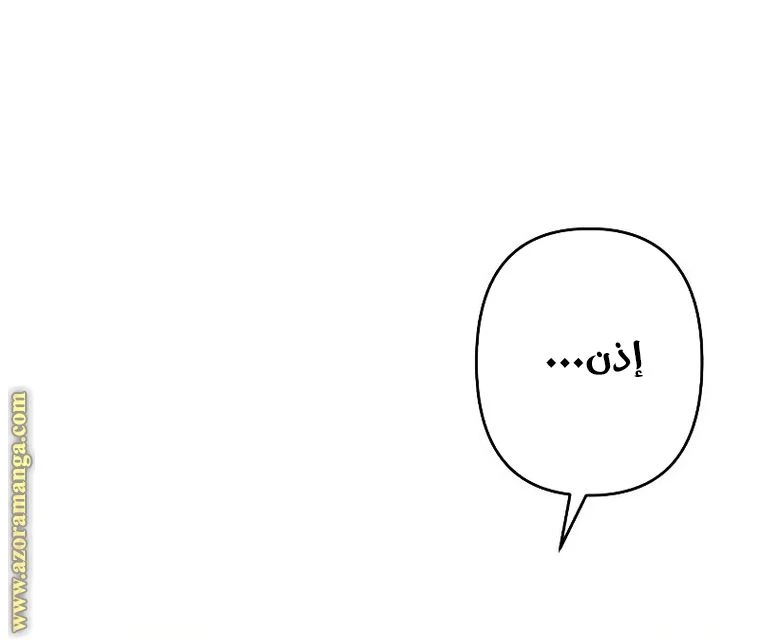 الصفحة 25