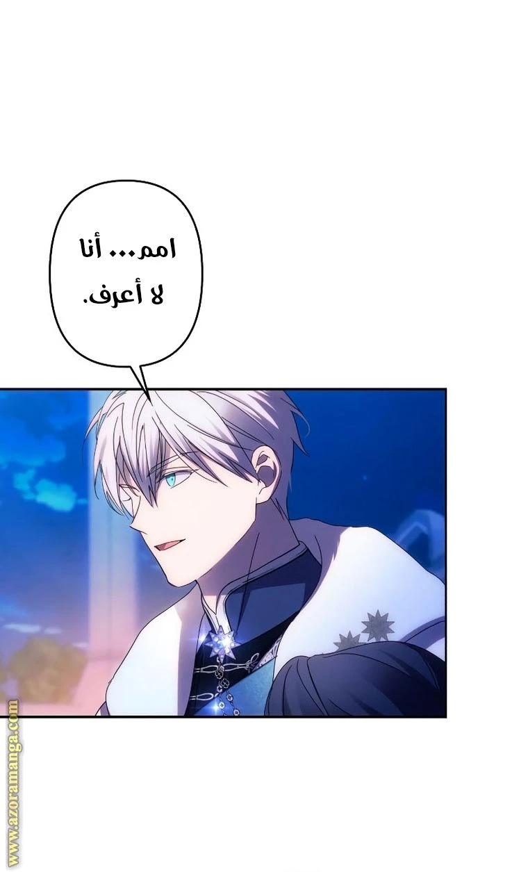 الصفحة 41