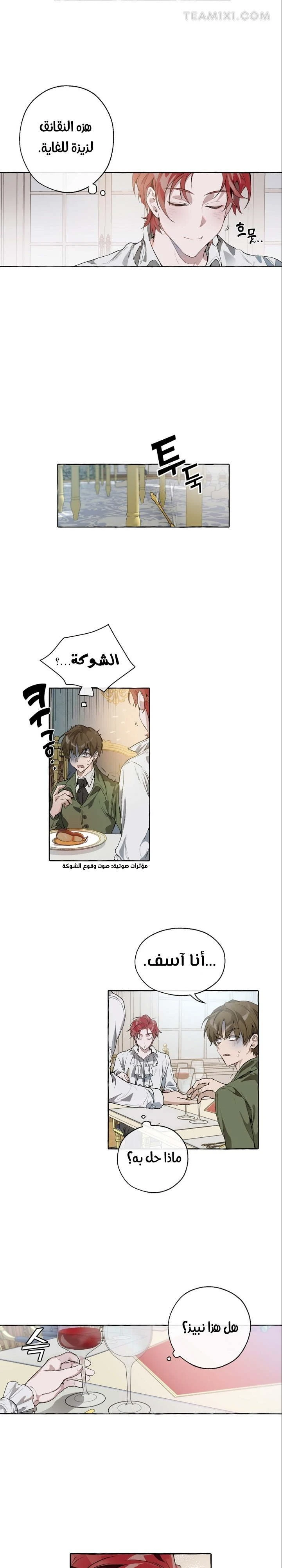 الصفحة 11