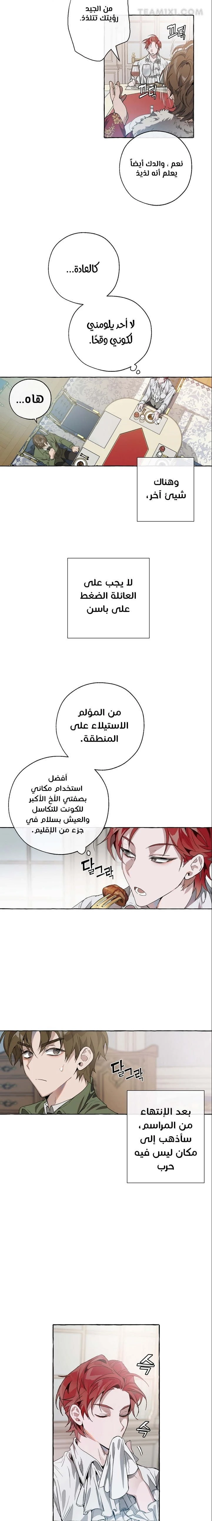الصفحة 13