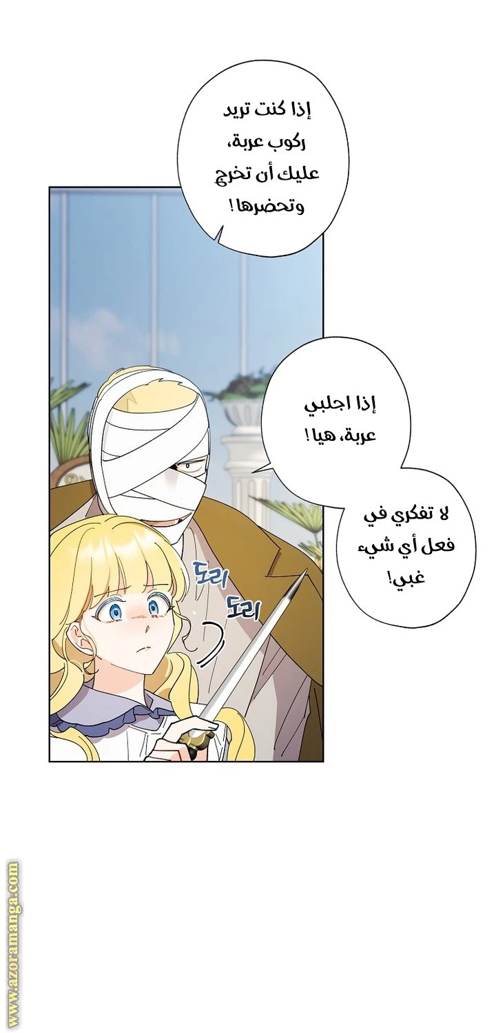 الصفحة 17