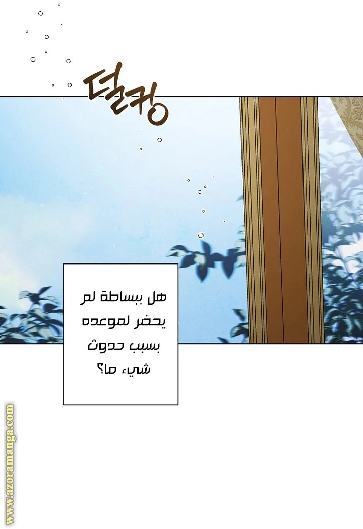 الصفحة 24