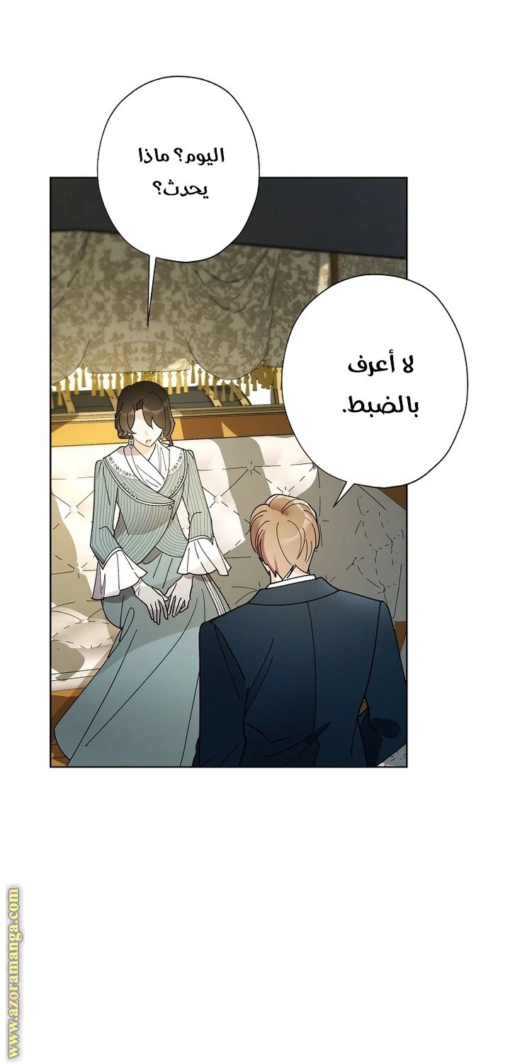 الصفحة 29