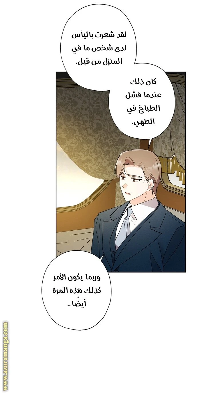 الصفحة 31