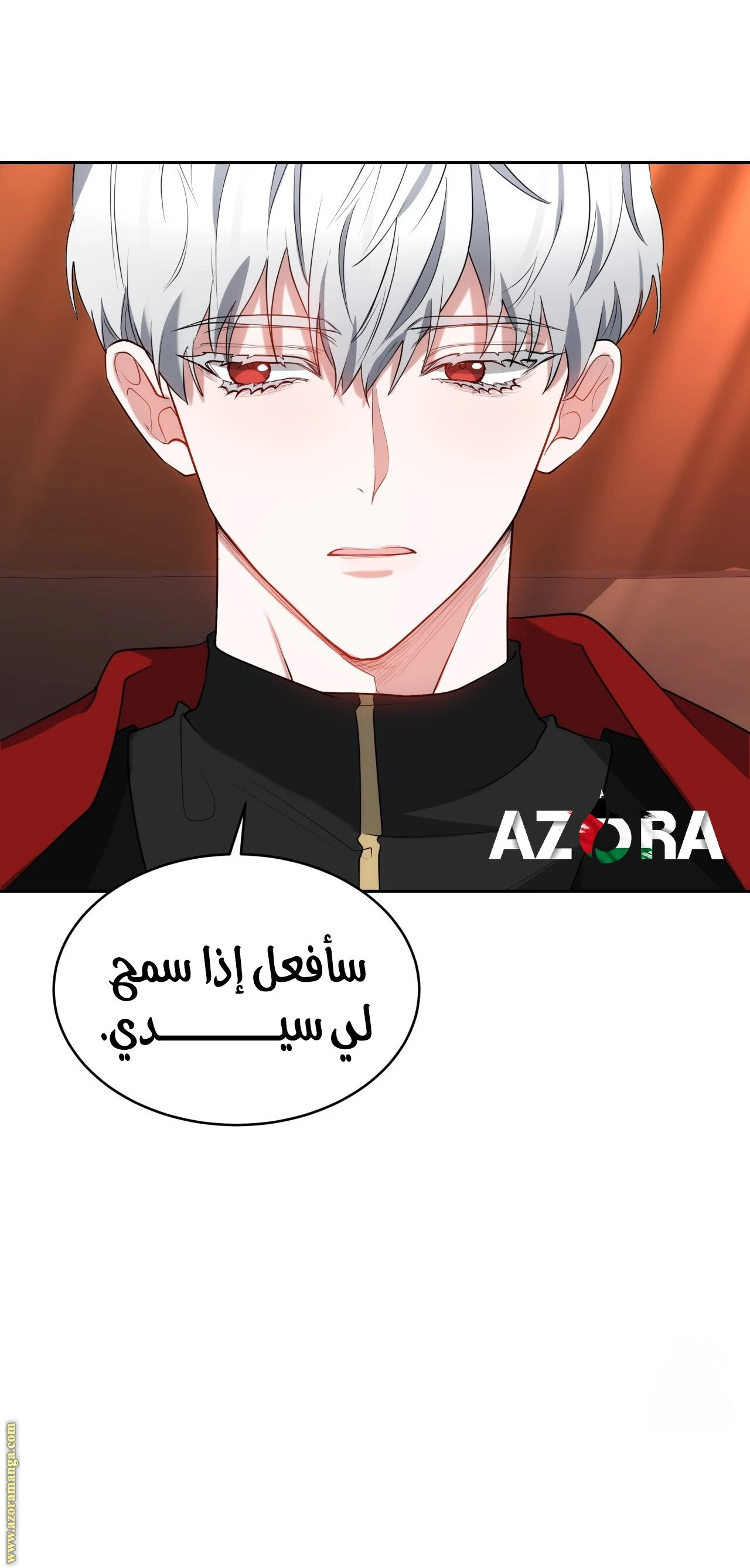 الصفحة 17